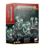 Warhammer Age of Sigmar Nighthaunt Spirit Hosts