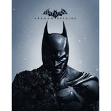 Batman: Arkham Origins (Steam)