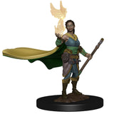 D&D Premium Figures Elf Female Druid 