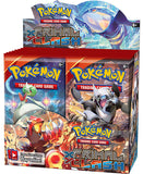 POKÉMON TCG XY Primal Clash Booster Box